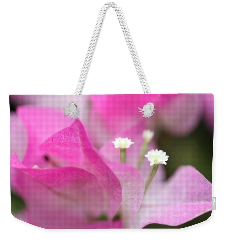 Bougainvillea Weekender Tote Bag featuring the photograph Bougainvillea by Mingming Jiang