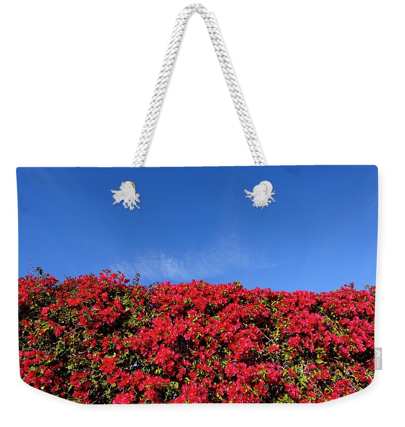 Blue Sky Weekender Tote Bag featuring the photograph Bougainvillea Palm Springs California 0437 by Amyn Nasser