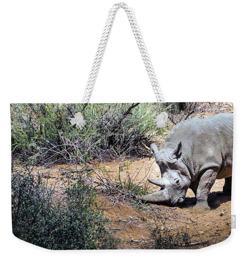 Wildlife Weekender Tote Bag featuring the photograph Brave Warrior by Laura Putman