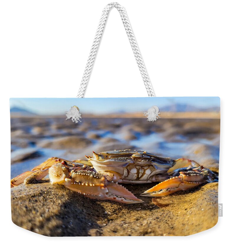 Crab Weekender Tote Bag featuring the photograph Breakfast on the Beach by Bonny Puckett
