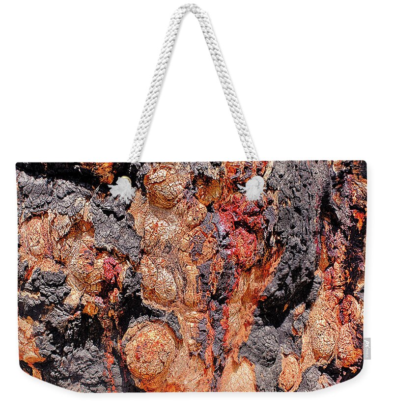 Ambergate Weekender Tote Bag featuring the photograph Bright Bark #1 by Jay Heifetz