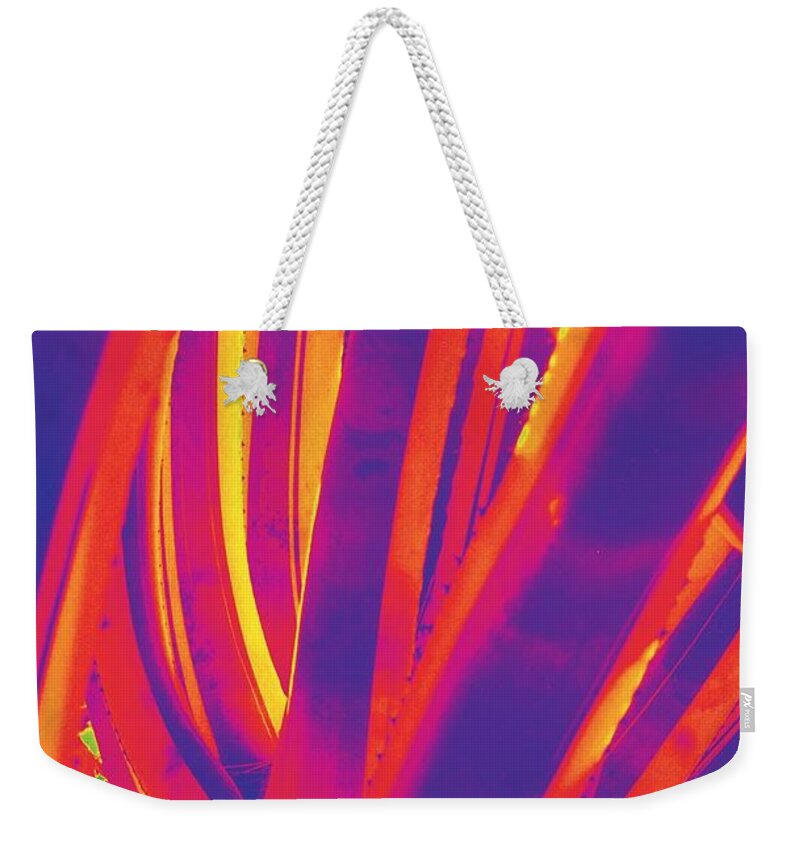 Cactus Weekender Tote Bag featuring the photograph Bright Cactus by Vivian Aumond