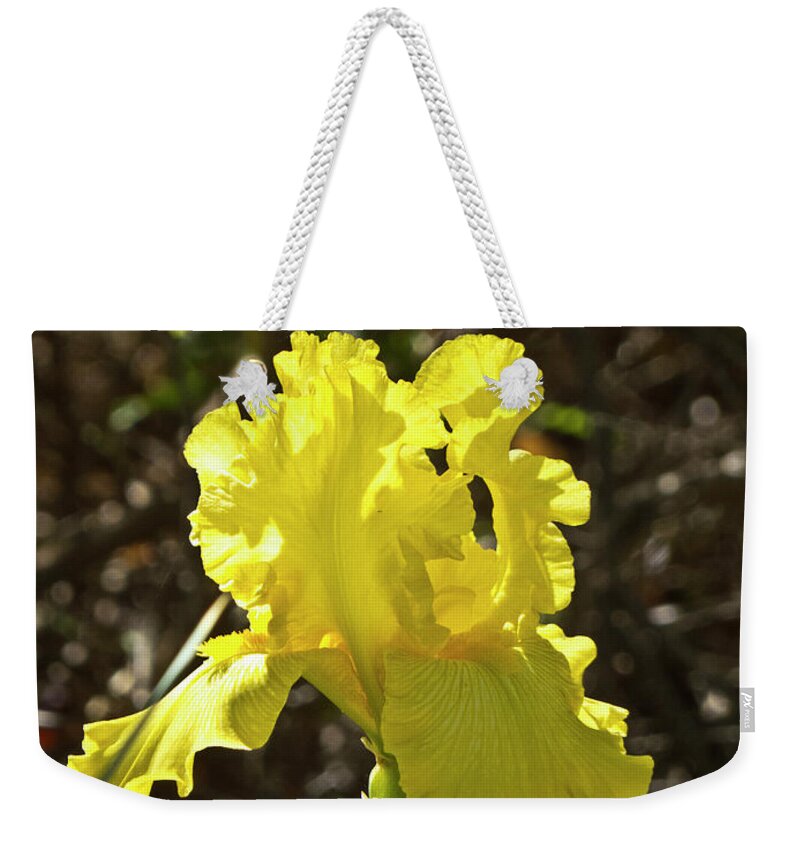 Boyce Thompson Arboretum Weekender Tote Bag featuring the photograph Bright Yellow in the Sun by Kathy McClure