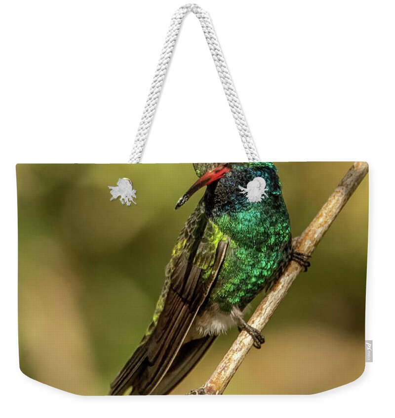 Broad-billed Hummingbird Weekender Tote Bag featuring the photograph Broad-billed Hummingbird 0076-020221-2 by Tam Ryan