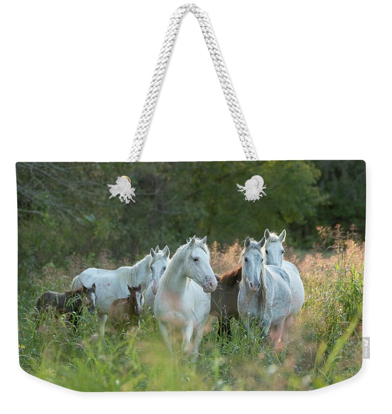 Broadfoot Weekender Tote Bag featuring the photograph Broadfoot at Sunset by Holly Ross
