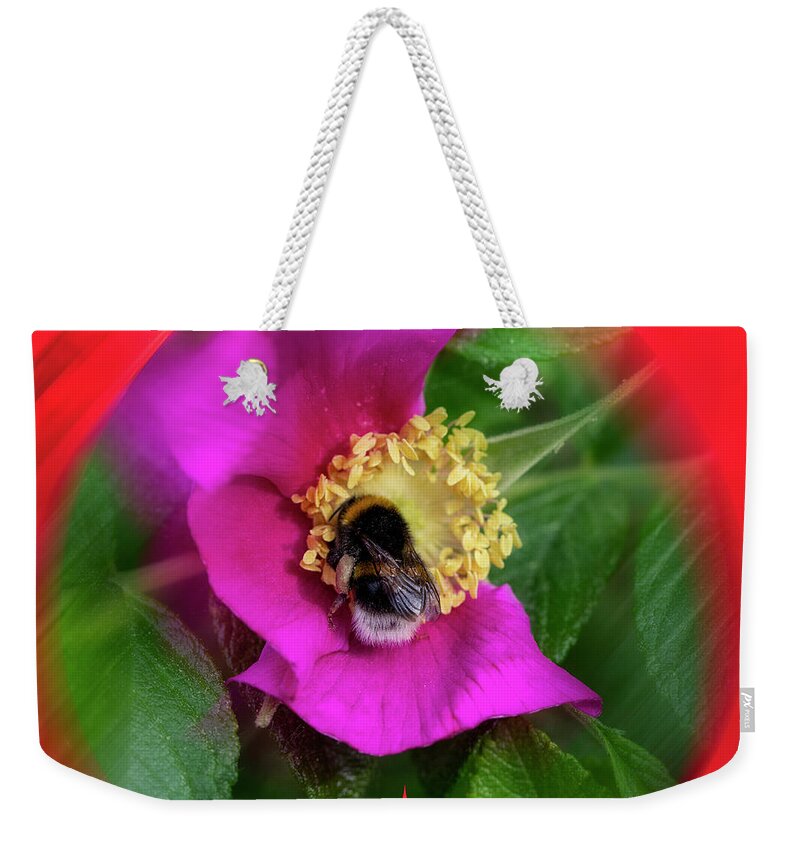 Abstract Expressionism #design#handmade Art #unique Style #like Brooch #for Beloved#contemporary Art #heart Vision #my Valentine Weekender Tote Bag featuring the mixed media Brooch For Beloved / Abstract Illustration by Aleksandrs Drozdovs