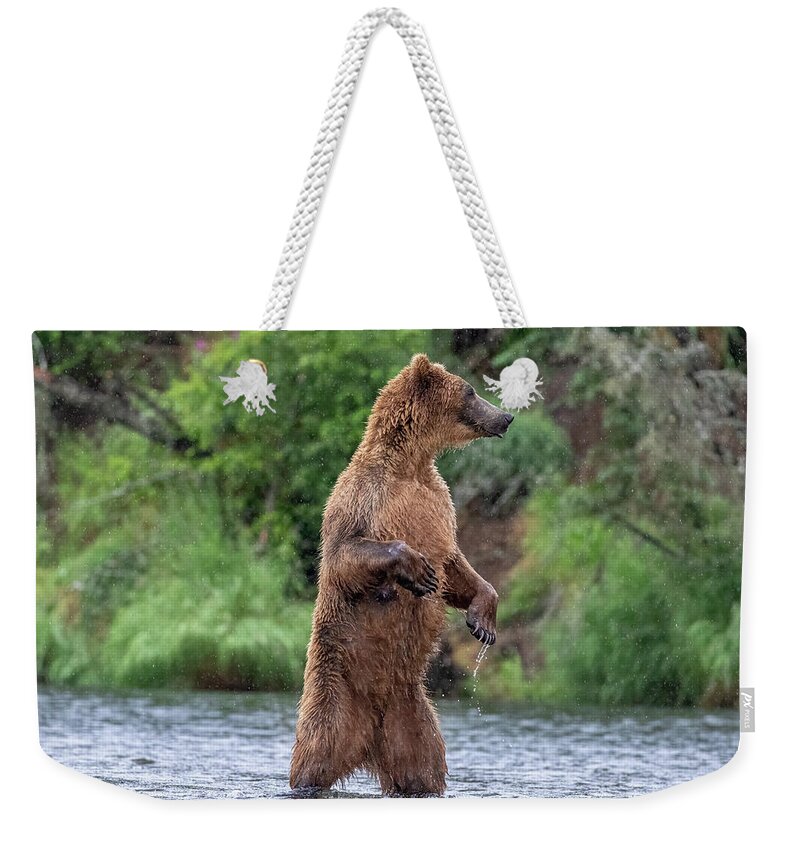 Brown Bear Weekender Tote Bag featuring the photograph Brown Bear, Brown Bear, What do you See? by Randy Robbins