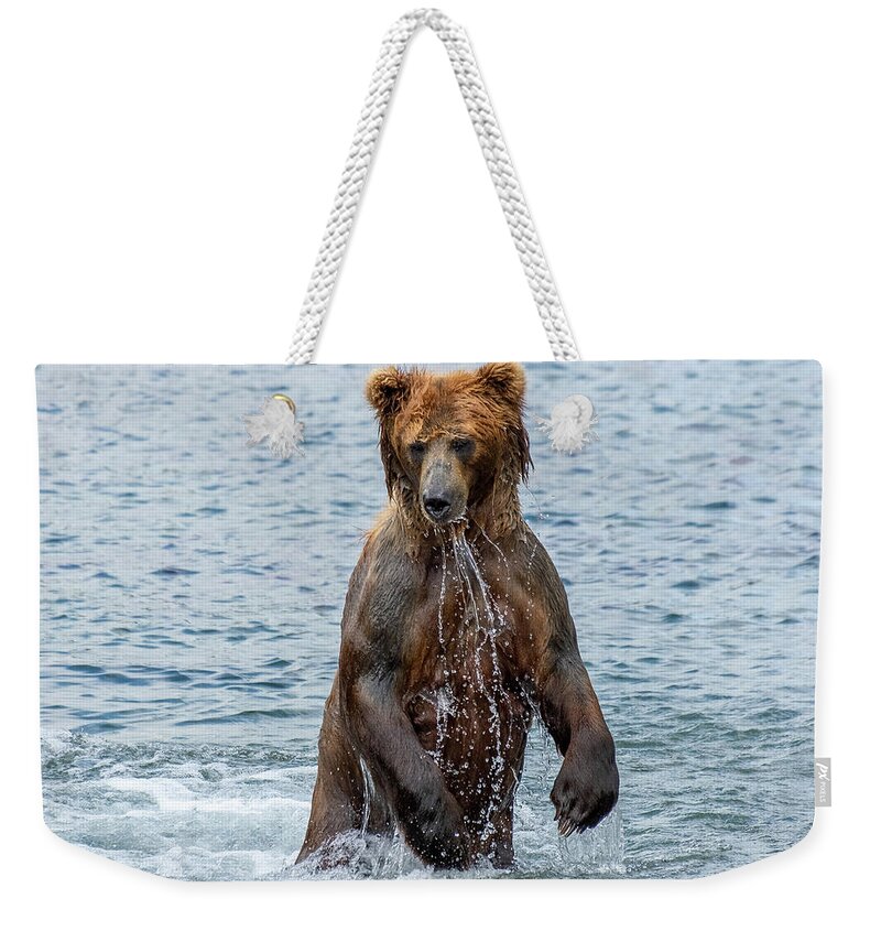 Bear Weekender Tote Bag featuring the photograph Brown bear standing in water by Mikhail Kokhanchikov