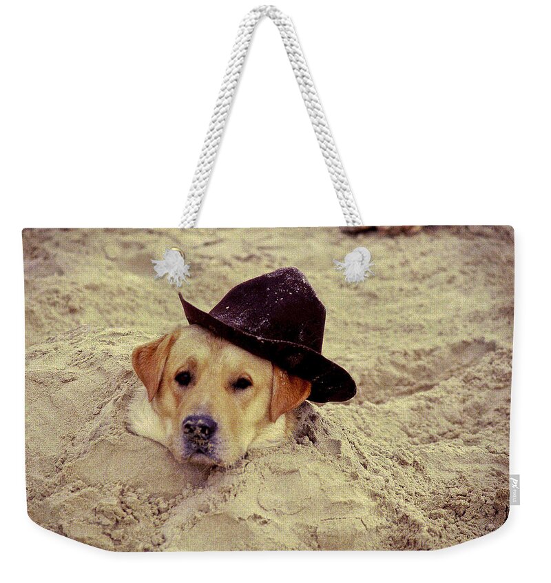 Dog Weekender Tote Bag featuring the photograph Brown Crested Sand Dog by R C Fulwiler