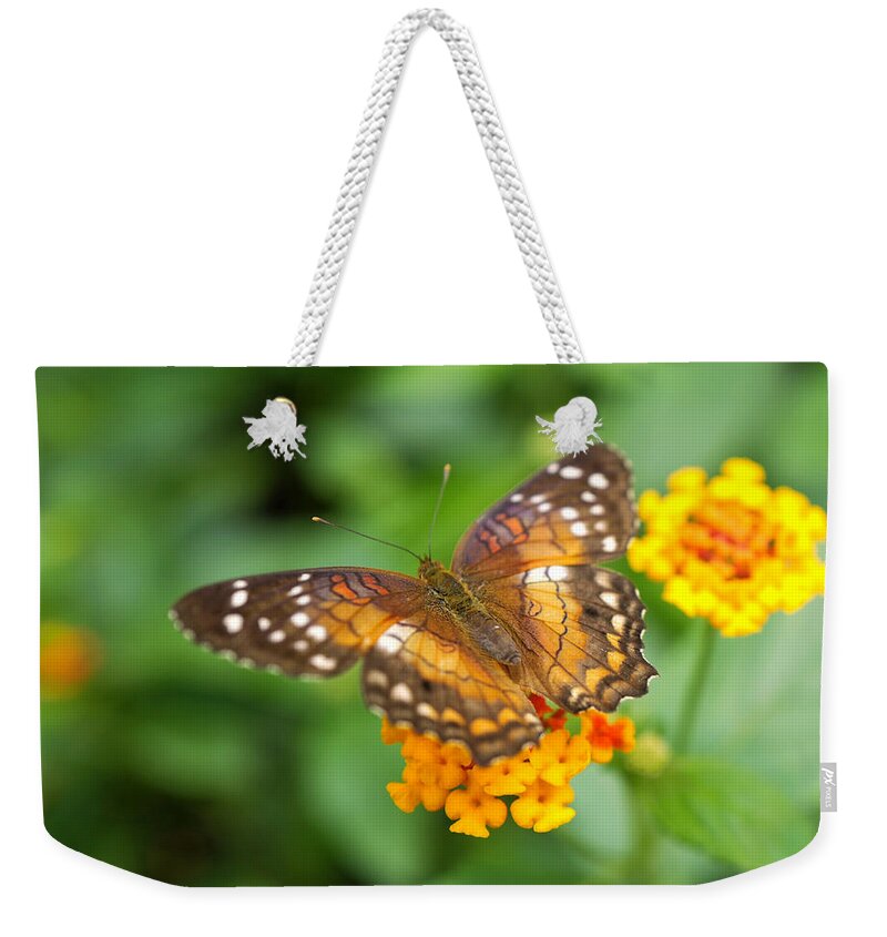 Butterfly Weekender Tote Bag featuring the photograph Brown Peacock Butterfly by Rona Black
