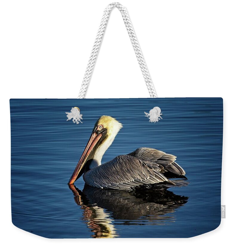 Brown Pelican Weekender Tote Bag featuring the photograph Brown Pelican by Ronald Lutz