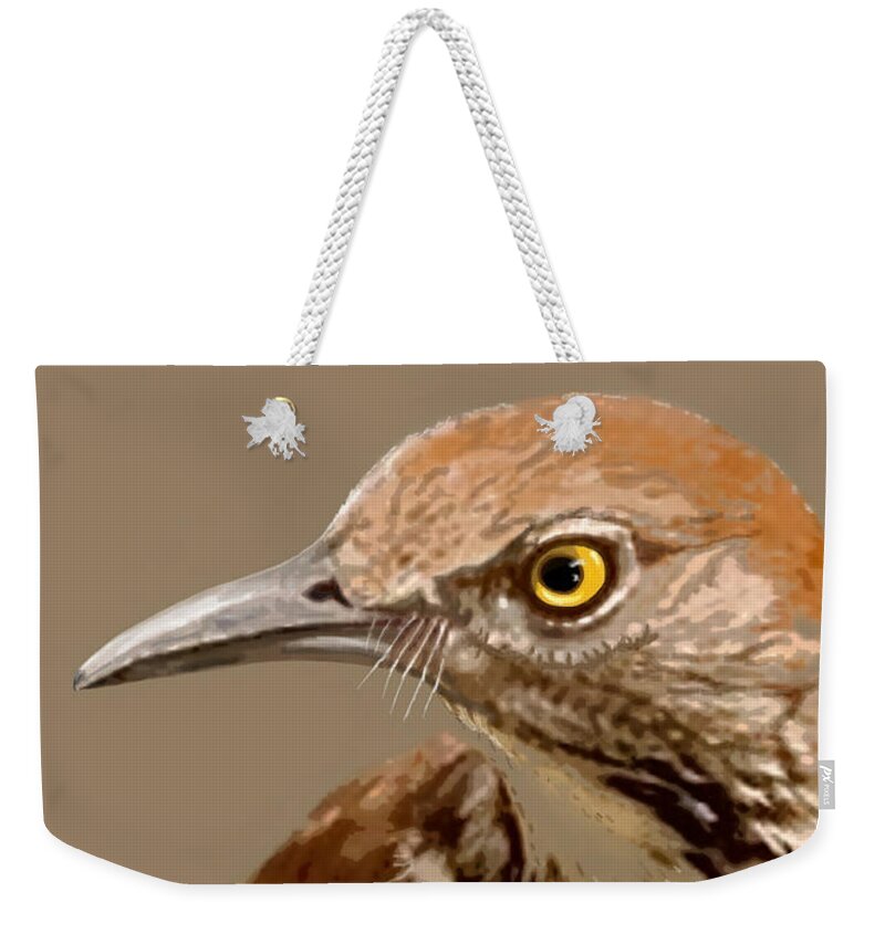 Brown Thrasher Weekender Tote Bag featuring the painting Brown Thrasher in 5 Colors by Judy Cuddehe