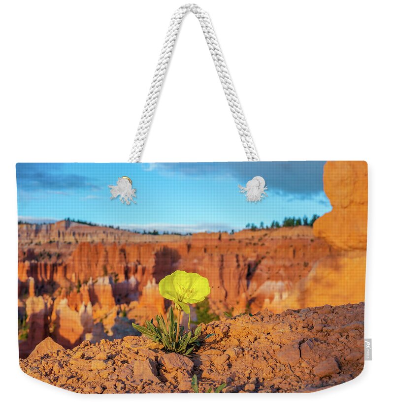 Bryce Canyon Weekender Tote Bag featuring the photograph Bryce Canyon Morning Flower by Chris Casas
