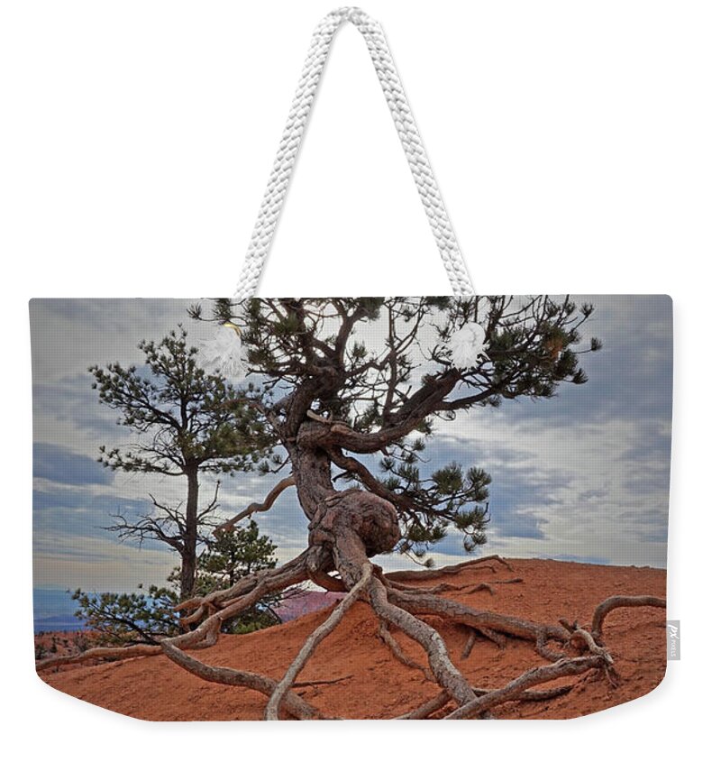 Bryce Canyon National Park Weekender Tote Bag featuring the photograph Bryce Canyon National Park - Fighting to Stay Rooted by Yvonne Jasinski