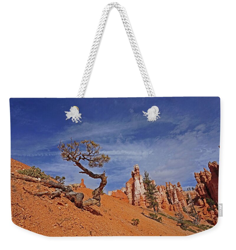 Bryce Canyon National Park Weekender Tote Bag featuring the photograph Bryce Canyon National Park - Shaped by the Wind by Yvonne Jasinski