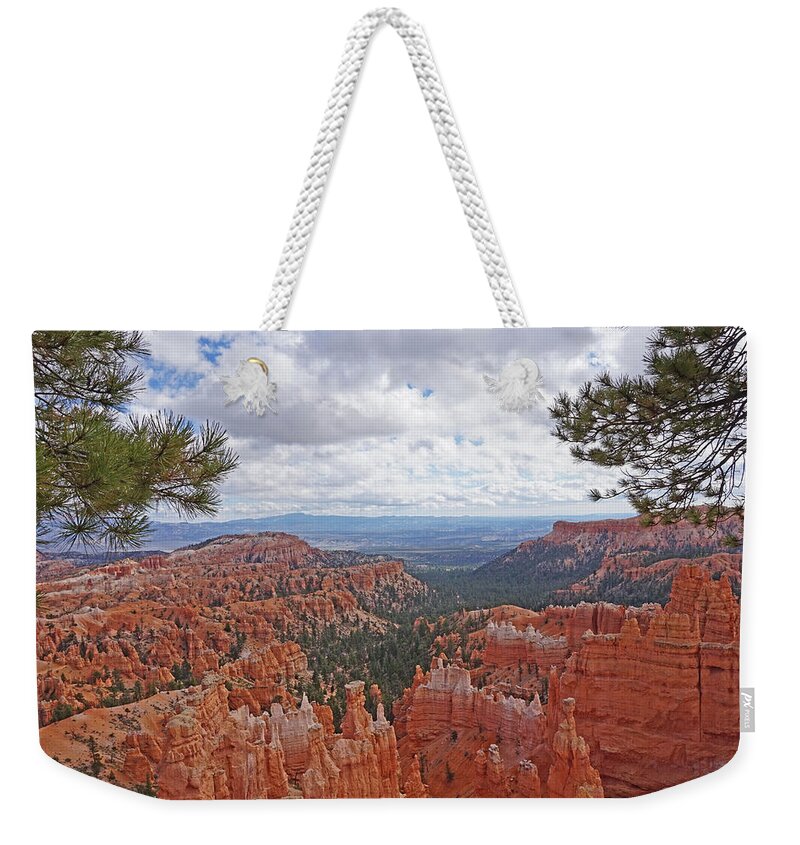 Bryce Canyon National Park Weekender Tote Bag featuring the photograph Bryce Canyon National Park - Panorama with Branches by Yvonne Jasinski