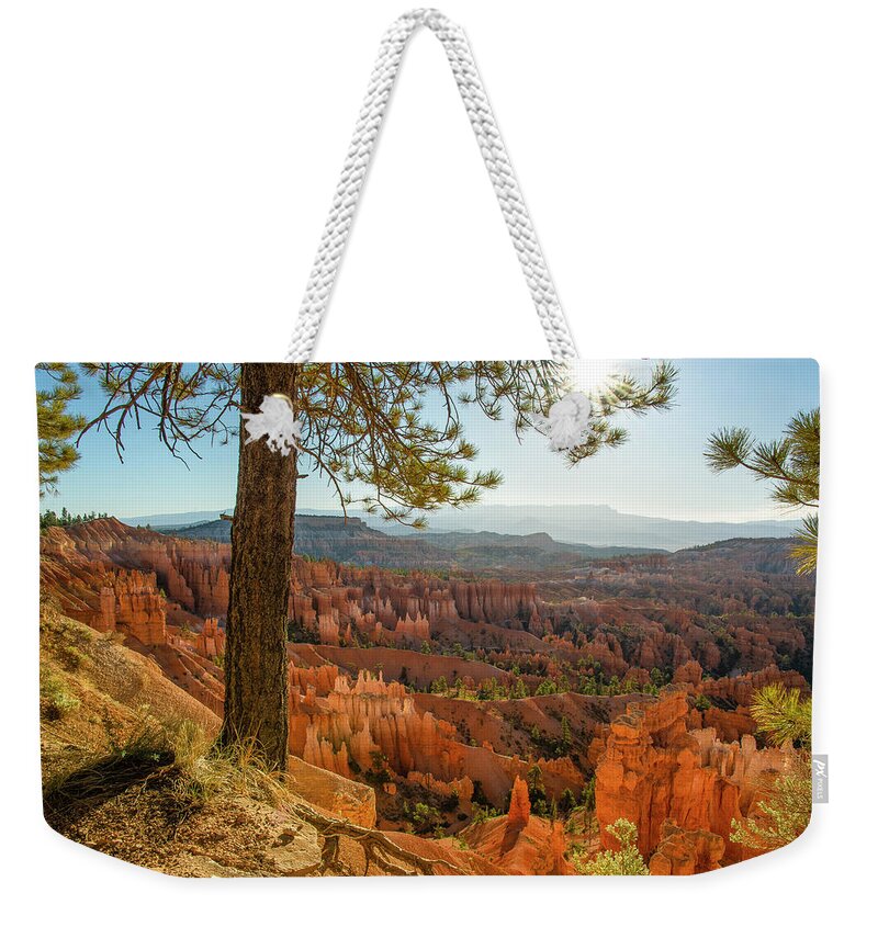 Utah Weekender Tote Bag featuring the photograph Bryce Canyon Tree by Aaron Spong