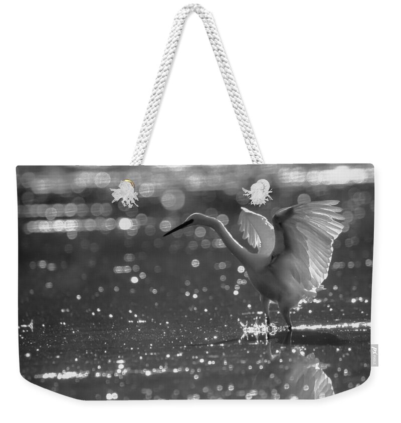 Egret Weekender Tote Bag featuring the photograph Bubble Dance BW by Alistair Lyne