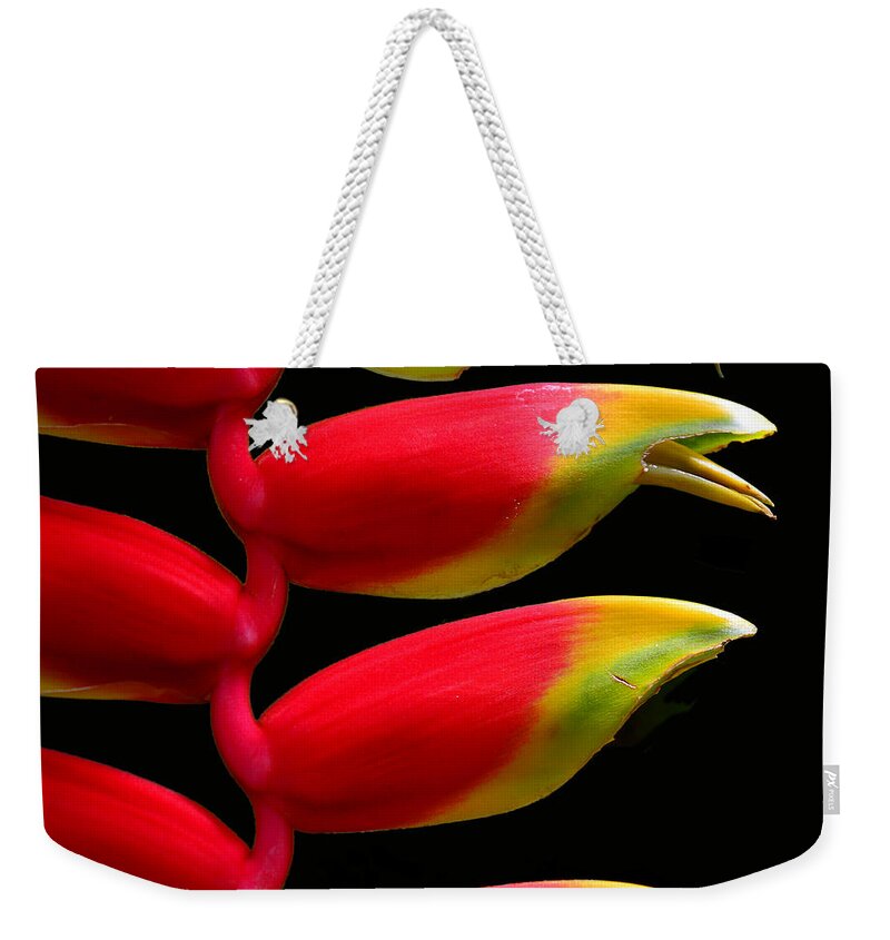Budding Paradise2 Weekender Tote Bag featuring the photograph Budding Paradise 2 by Paul Davenport