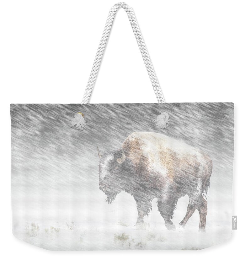 Snow Storm Weekender Tote Bag featuring the photograph Buffalo in Winter Snow Storm in Yellowstone National Park by Randall Nyhof