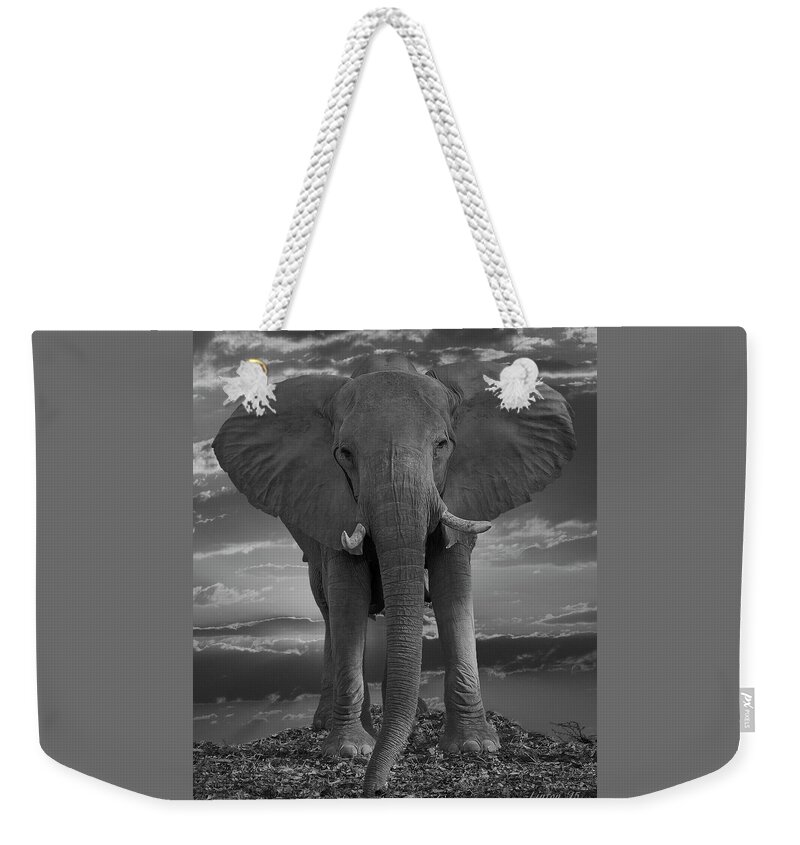 Elephant Weekender Tote Bag featuring the photograph Bull Elephant by Larry Linton
