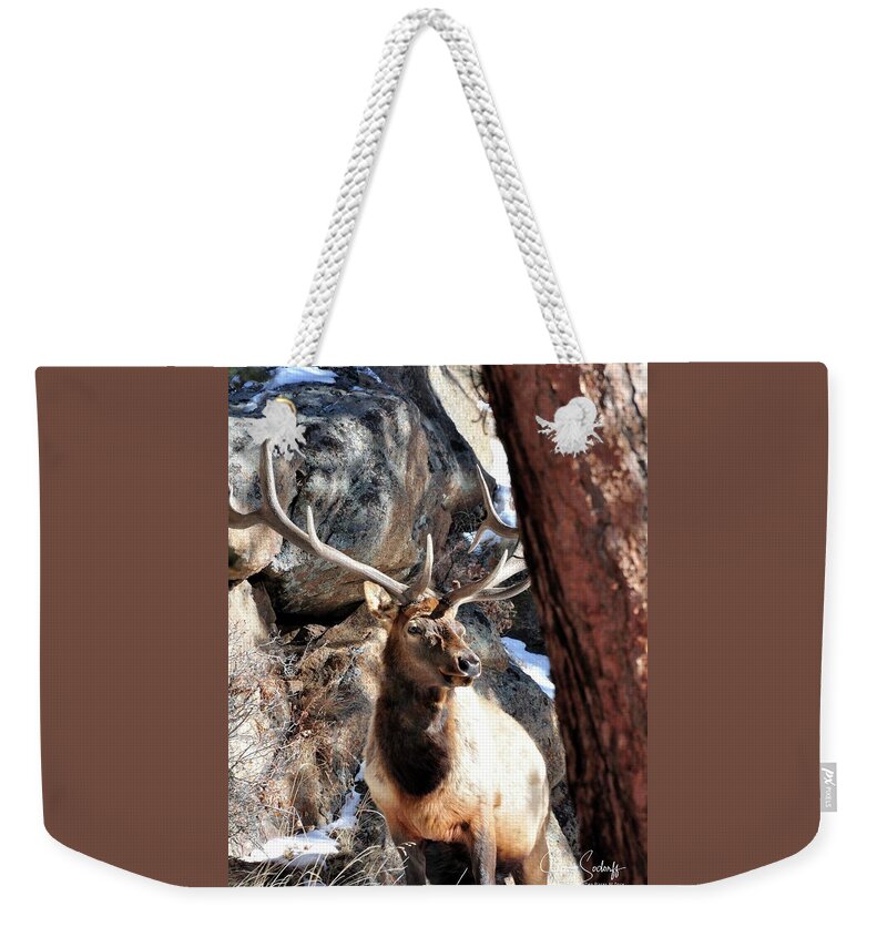 Elk Weekender Tote Bag featuring the photograph Bull Elk Spring Sun DS by Jerry Sodorff