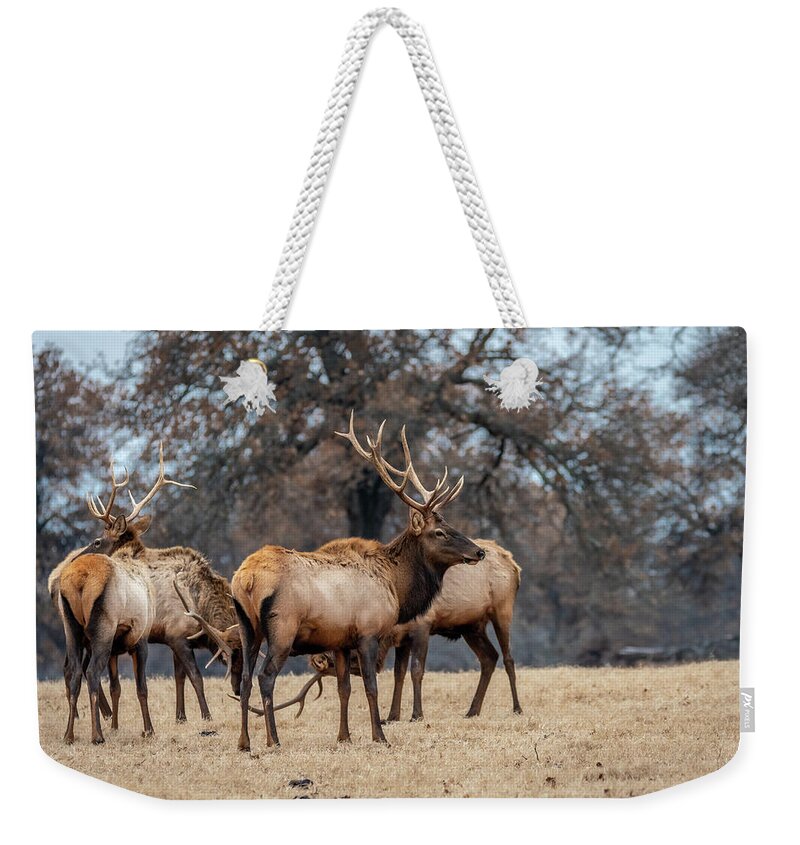 Debra Martz Weekender Tote Bag featuring the photograph Bull Elk Woolaroc Oklahoma by Debra Martz