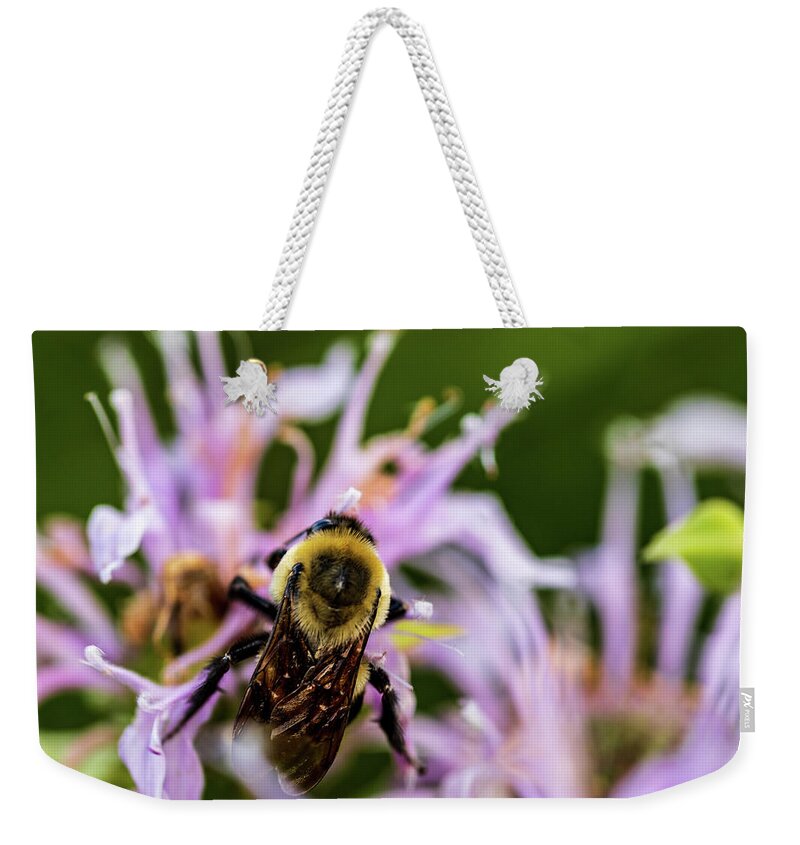 Animals Weekender Tote Bag featuring the photograph Bumble Bee on Flowers by Amelia Pearn
