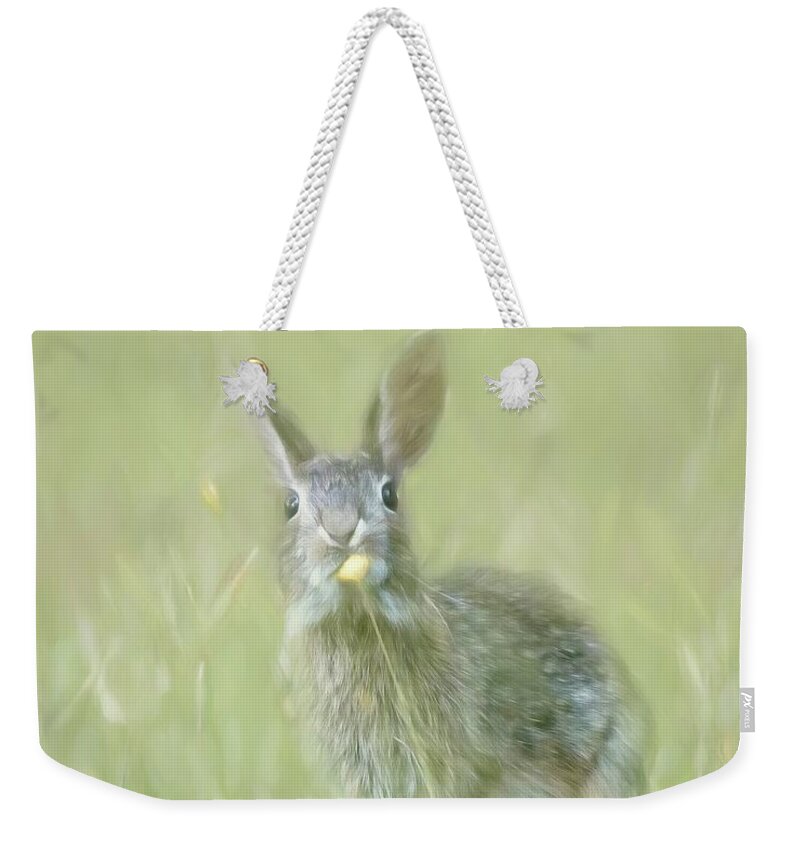 Bunny Weekender Tote Bag featuring the photograph Bunny and Dandelion by Marjorie Whitley