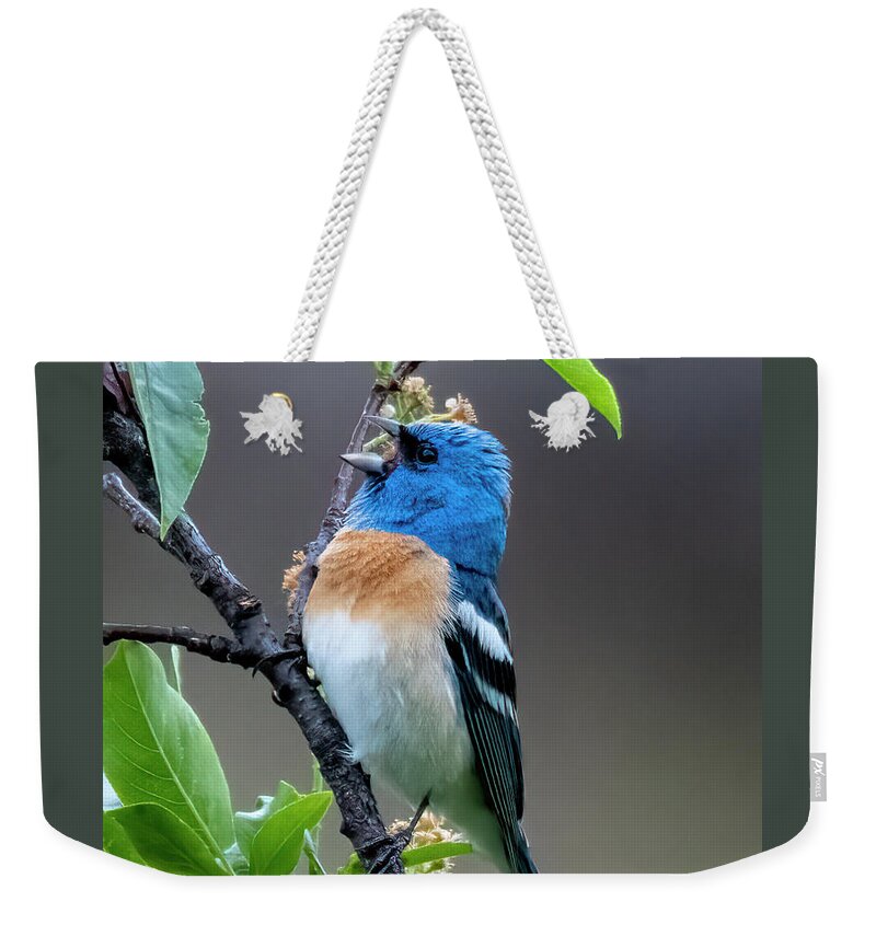 Lazuli Bunting Weekender Tote Bags