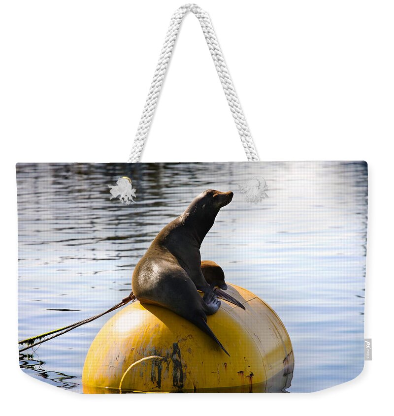 Sea Lion Weekender Tote Bag featuring the photograph Buoy Sunning by Anthony Jones