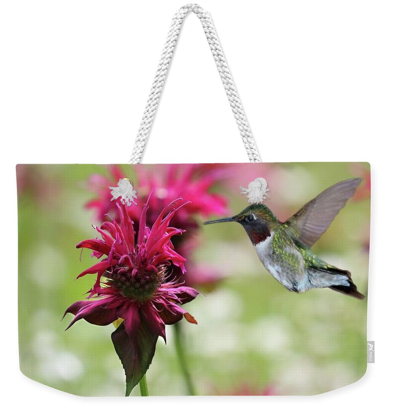 Bee Balm Weekender Tote Bag featuring the photograph Burgundy Bee Balm and Ruby-throated Hummingbird by Sandra Huston