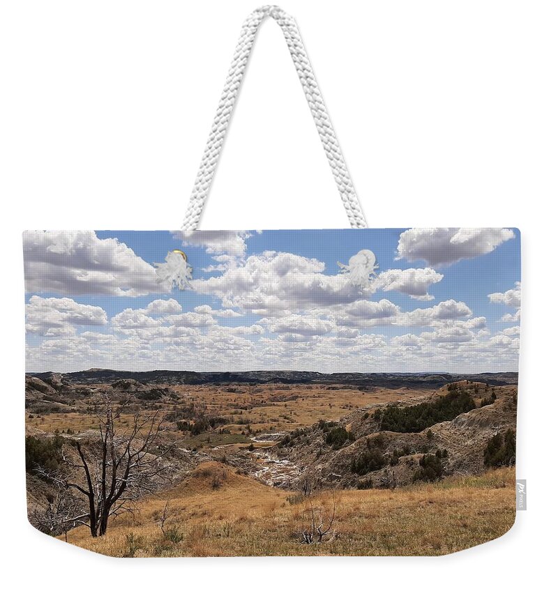 Burn Weekender Tote Bag featuring the photograph Burned Tree's View by Amanda R Wright