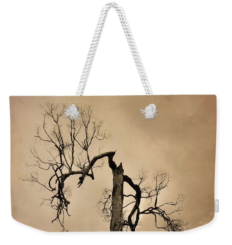 Bridgetown Weekender Tote Bag featuring the photograph Burnt by Elaine Teague