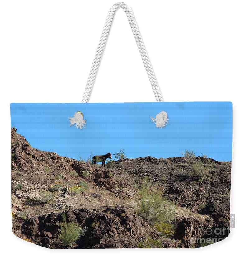 Burro Weekender Tote Bag featuring the photograph Burro on the Hill by Doug Gist