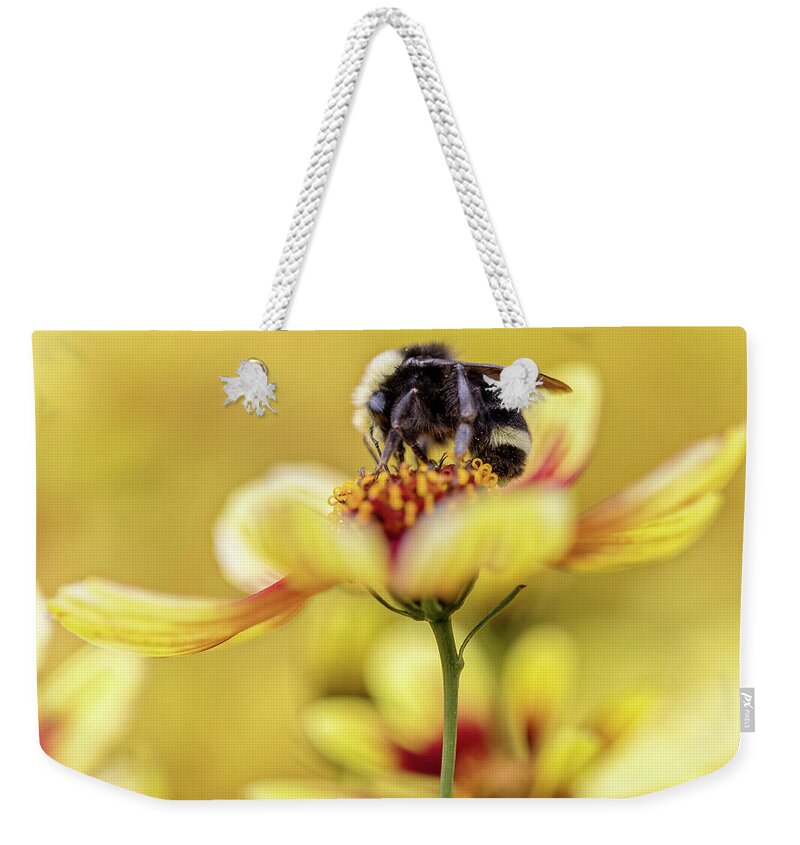 Bumblebee Weekender Tote Bag featuring the photograph Busy Bumblebee by Rebecca Cozart
