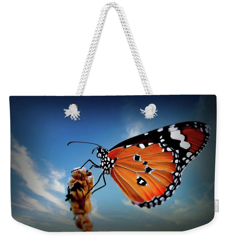 Butterfly Weekender Tote Bag featuring the digital art Butterfly 1 by Steven Parker