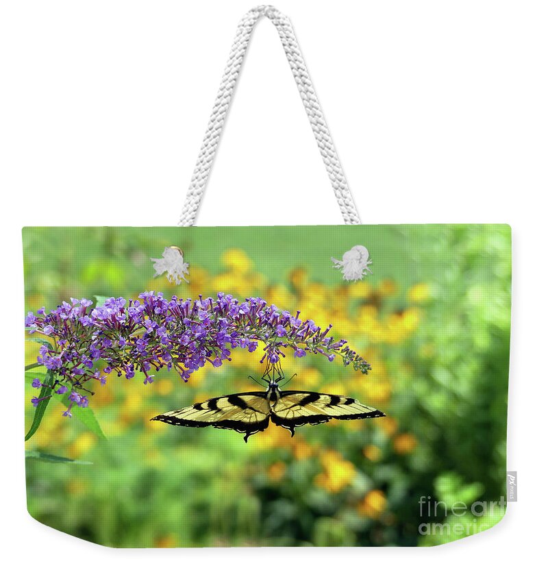 Butterfly Weekender Tote Bag featuring the photograph Butterfly Bungalow Swallowtail by Amy Dundon