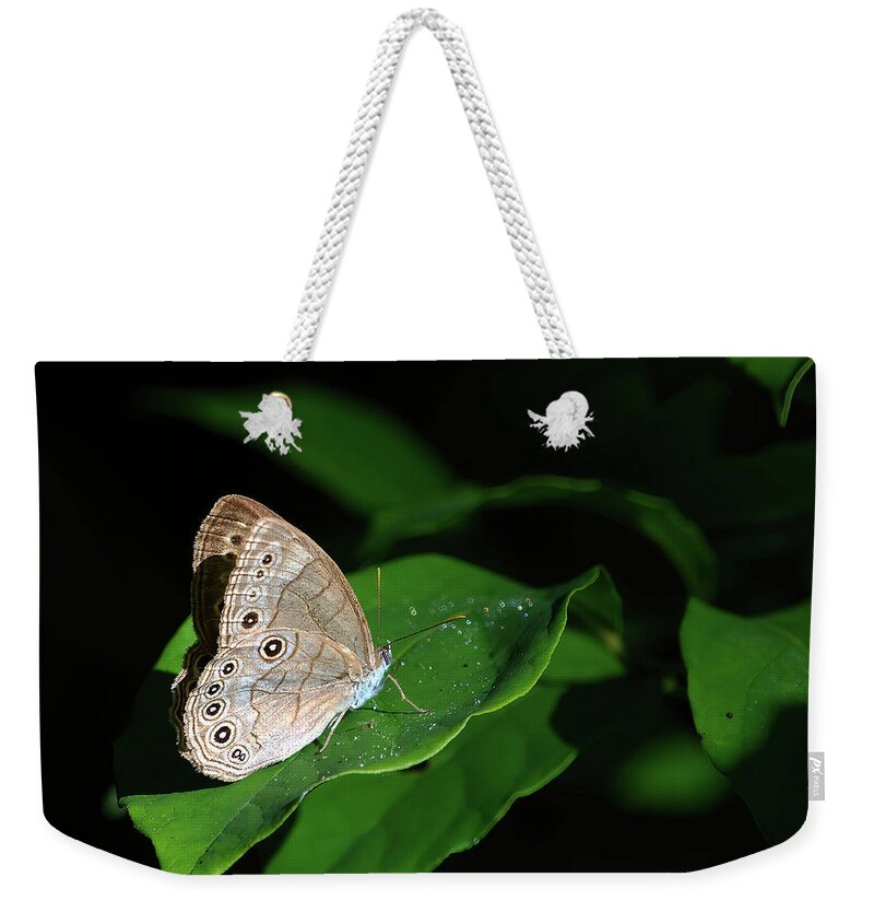 Butterfly Weekender Tote Bag featuring the photograph Eyed-Brown Butterfly by Flinn Hackett
