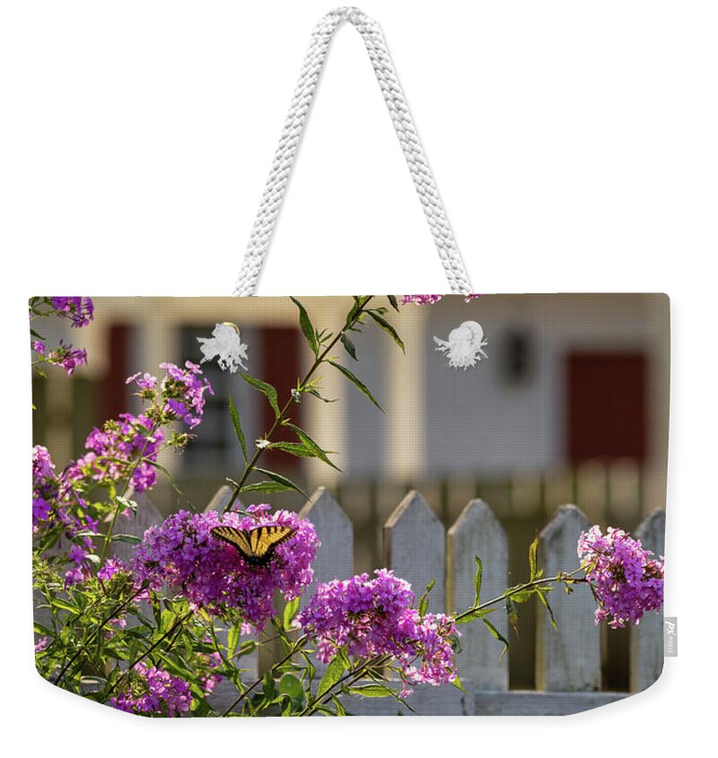 Butterfly Weekender Tote Bag featuring the photograph Butterfly in a Summer Garden by Rachel Morrison