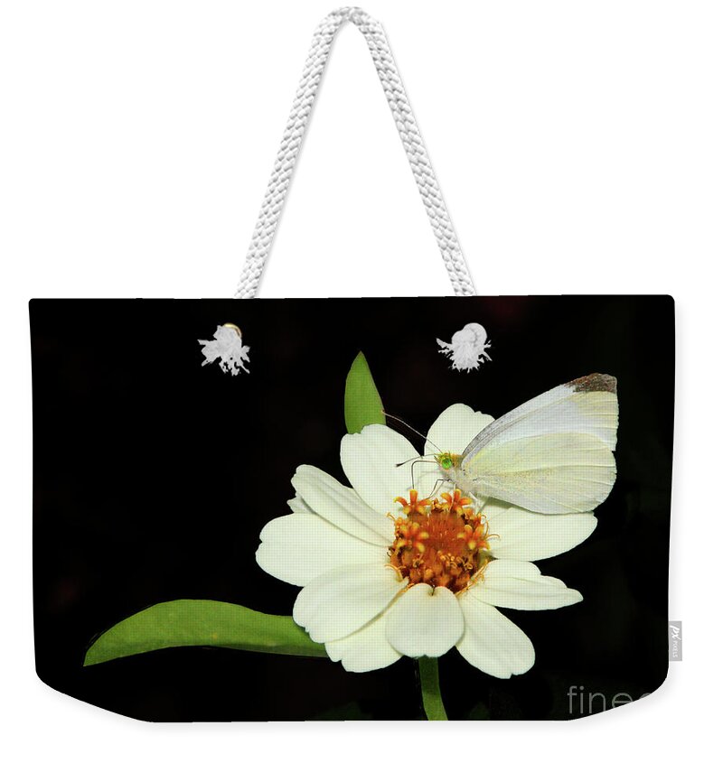 Nature Weekender Tote Bag featuring the photograph Butterfly Lunch by Mariarosa Rockefeller