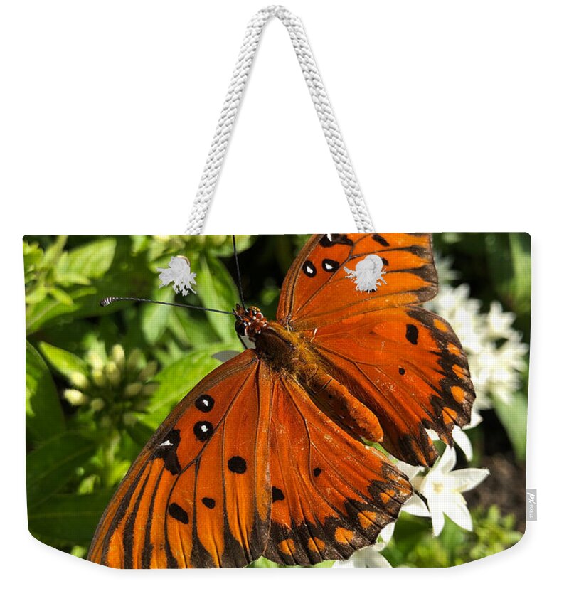 Butterfly Weekender Tote Bag featuring the photograph Butterfly no.3 by Nathan Little
