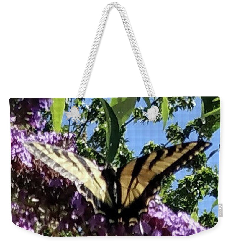 Butterfly Weekender Tote Bag featuring the photograph Butterfly On Butterfly Bush by Monica Resinger
