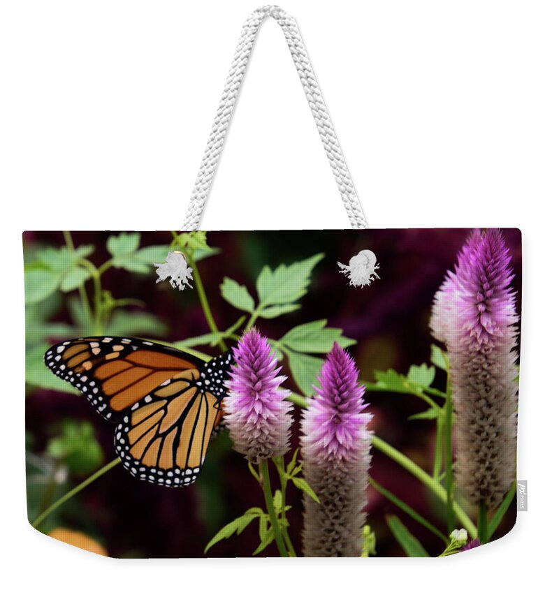 Monarch Weekender Tote Bag featuring the photograph Butterfly on Celosia by Christina McGoran