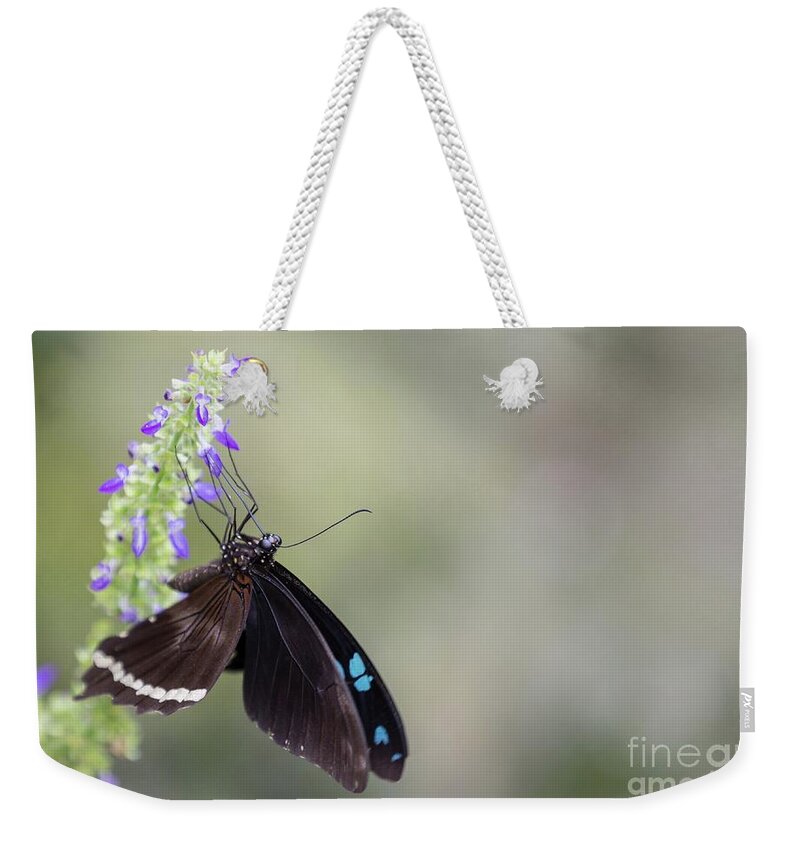 Butterfly Weekender Tote Bag featuring the photograph Butterfly On Flower by Eva Lechner