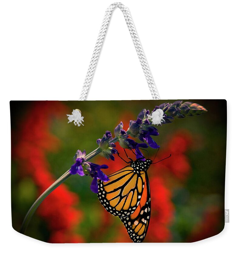 Butterfly Weekender Tote Bag featuring the photograph Butterfly on Purple Flower by Carolyn Hutchins