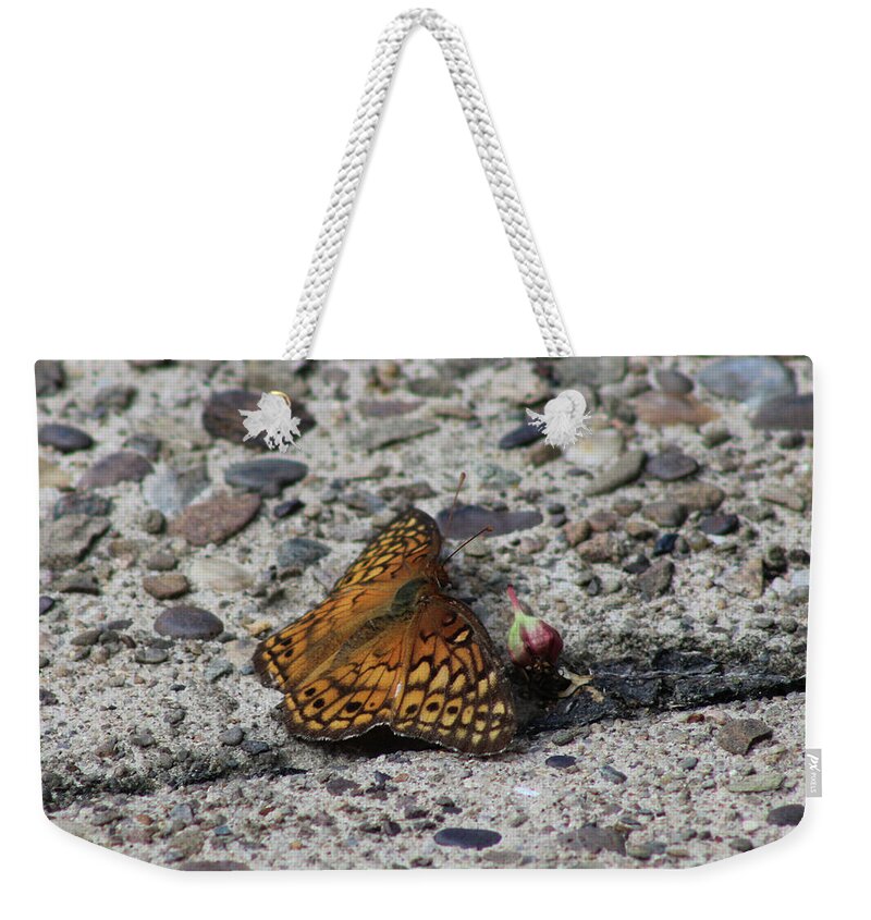 Butterfly Weekender Tote Bag featuring the photograph Butterfly on the Sidewalk by Christopher Reed