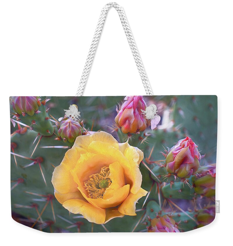 Multicolored Weekender Tote Bag featuring the mixed media Buttery Cactus Blossom 14 by Lynda Lehmann
