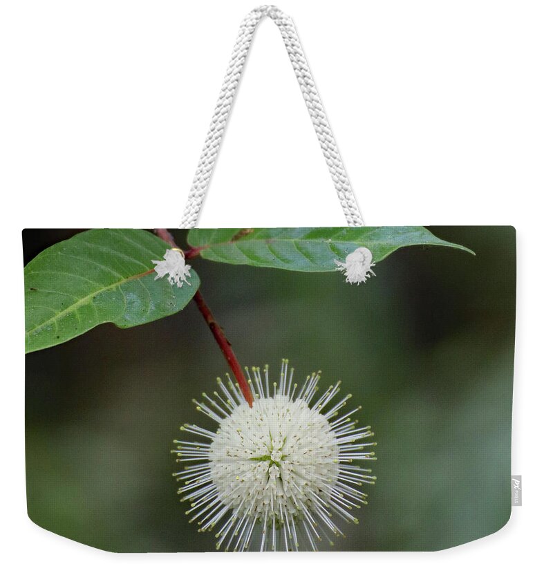 Button Bush Weekender Tote Bag featuring the photograph Buttonbush Bloom by David T Wilkinson