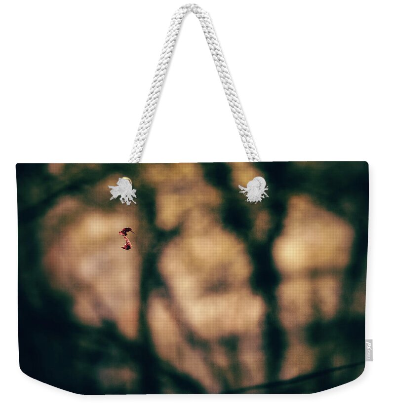 Forest Weekender Tote Bag featuring the photograph By a thread by Gavin Lewis